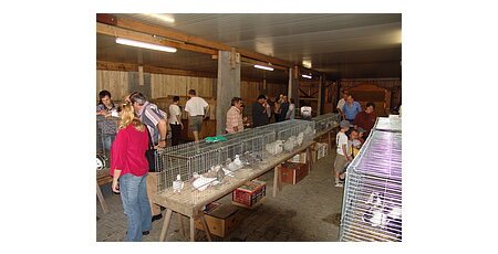 Kleintiermarkt