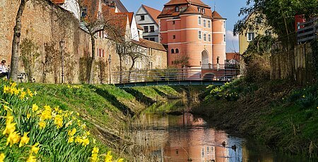 Frühling am Rieder Tor