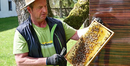 Bienen-Garten