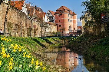 Frühling am Rieder Tor