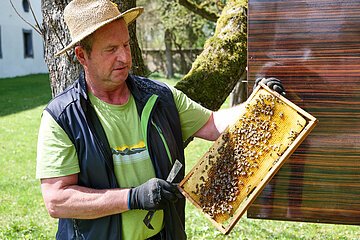 Bienen-Garten